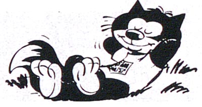 Sim Cat