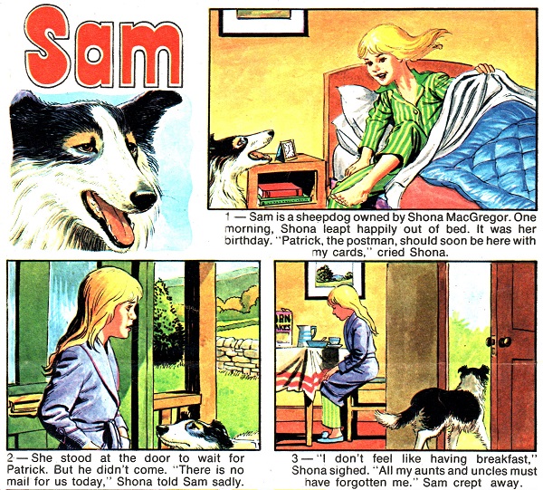 Don Harley - Sam The Sheepdog dans Twinkle 545 - 01-07-1978